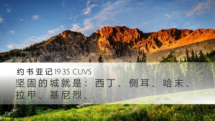 约 书 亚 记 19:35 CUVS Bible Verse Image