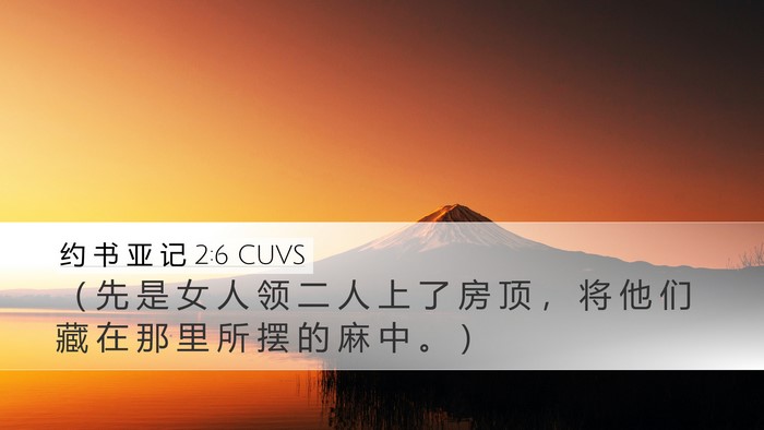 约 书 亚 记 2:6 CUVS Bible Verse Image