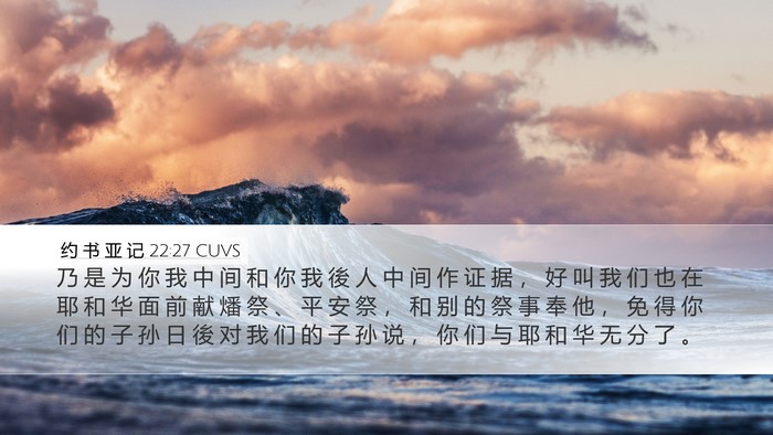 约 书 亚 记 22:27 CUVS Bible Verse Image