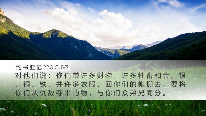 约 书 亚 记 22:8 CUVS Desktop Wallpaper - 对 他 们 说 ： 你 们 带 许 多 财 物 - Desktop Bible Verse Wallpaper