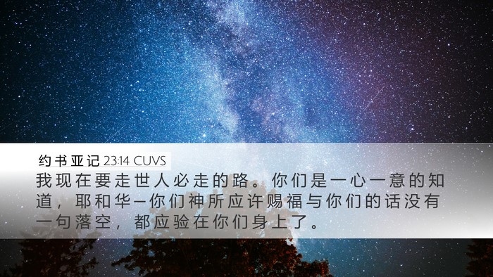 约 书 亚 记 23:14 CUVS Bible Verse Image
