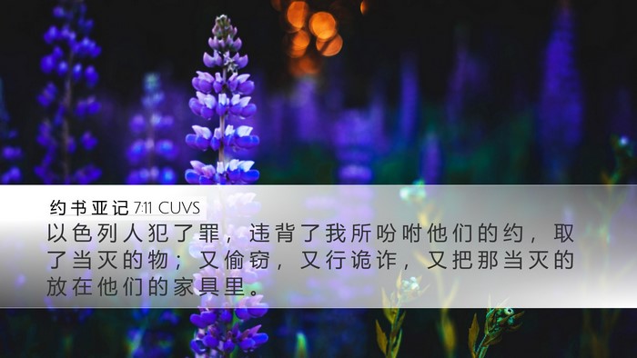 约 书 亚 记 7:11 CUVS Bible Verse Image