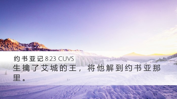 约 书 亚 记 8:23 CUVS Desktop Wallpaper - 生 擒 了 艾 城 的 王 ， 将 他 解 到 - Desktop Bible Verse Wallpaper