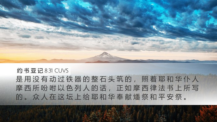 约 书 亚 记 8:31 CUVS Desktop Wallpaper - 是 用 没 有 动 过 铁 器 的 整 石 头 - Desktop Bible Verse Wallpaper