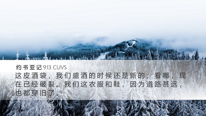 约 书 亚 记 9:13 CUVS Bible Verse Image