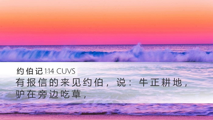 约 伯 记 1:14 CUVS Bible Verse Image