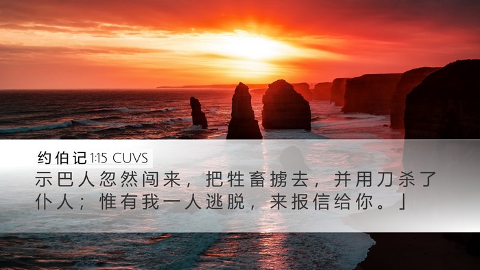 约 伯 记 1:15 CUVS Bible Verse Image