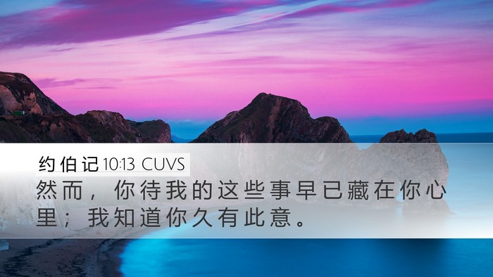 约 伯 记 10:13 CUVS Desktop Wallpaper - 然 而 ， 你 待 我 的 这 些 事 早 已 - Desktop Bible Verse Wallpaper