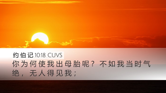 约 伯 记 10:18 CUVS Bible Verse Image
