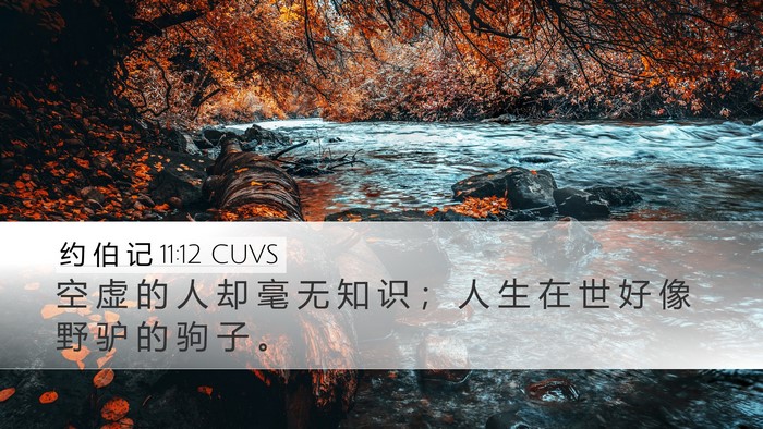 约 伯 记 11:12 CUVS Bible Verse Image