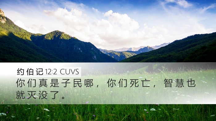 约 伯 记 12:2 CUVS Bible Verse Image