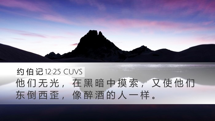 约 伯 记 12:25 CUVS Bible Verse Image