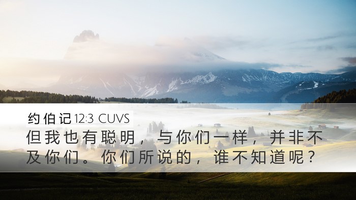 约 伯 记 12:3 CUVS Bible Verse Image