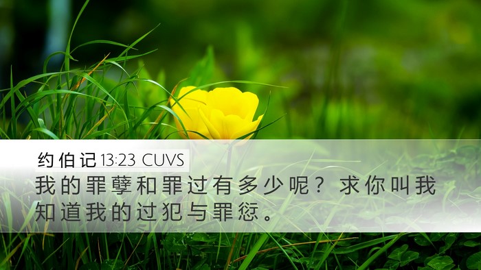 约 伯 记 13:23 CUVS Bible Verse Image