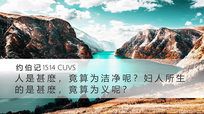 约 伯 记 15:14 CUVS Bible Verse Image