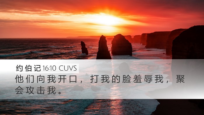 约 伯 记 16:10 CUVS Bible Verse Image
