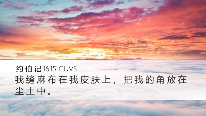 约 伯 记 16:15 CUVS Bible Verse Image