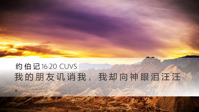 约 伯 记 16:20 CUVS Bible Verse Image