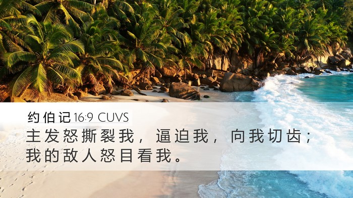 约 伯 记 16:9 CUVS Bible Verse Image