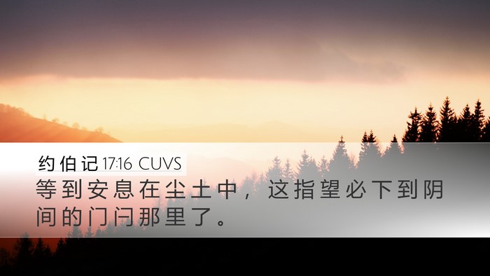 约 伯 记 17:16 CUVS Bible Verse Image
