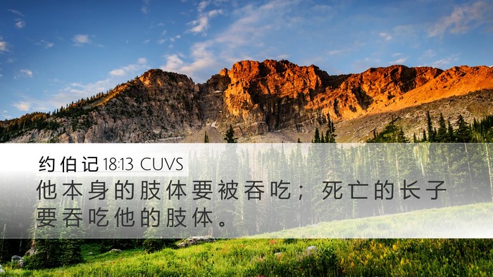 约 伯 记 18:13 CUVS Desktop Wallpaper - 他 本 身 的 肢 体 要 被 吞 吃 ； 死 - Desktop Bible Verse Wallpaper
