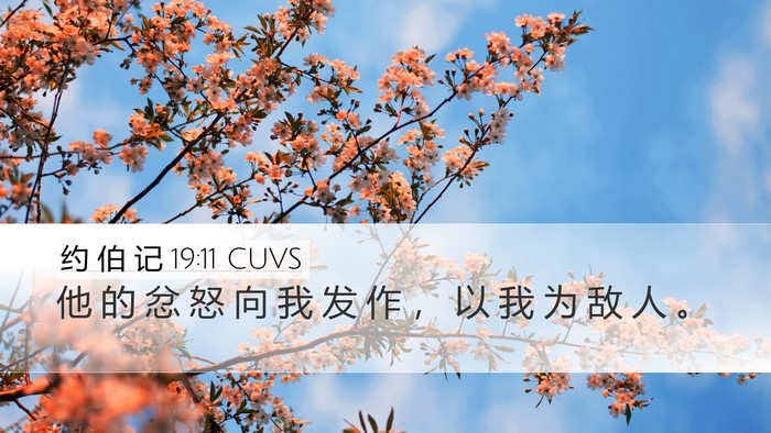 约 伯 记 19:11 CUVS Bible Verse Image