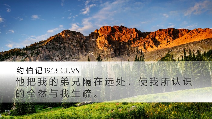 约 伯 记 19:13 CUVS Bible Verse Image
