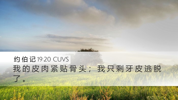 约 伯 记 19:20 CUVS Bible Verse Image