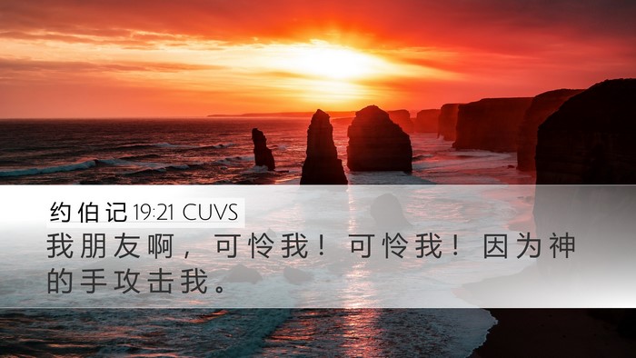 约 伯 记 19:21 CUVS Bible Verse Image