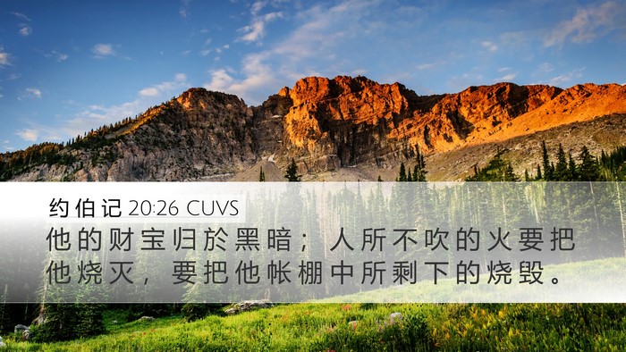 约 伯 记 20:26 CUVS Desktop Wallpaper - 他 的 财 宝 归 於 黑 暗 ； 人 所 不 - Desktop Bible Verse Wallpaper