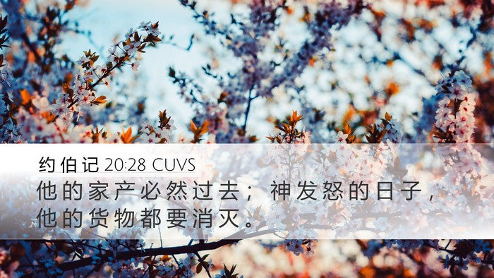 约 伯 记 20:28 CUVS Bible Verse Image