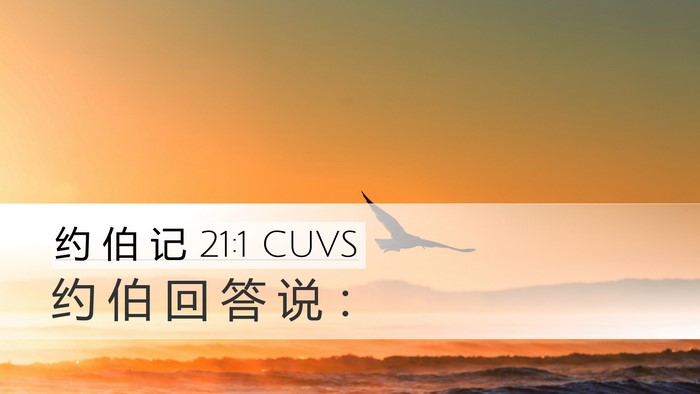 约 伯 记 21:1 CUVS Desktop Wallpaper - 约 伯 回 答 说 - Desktop Bible Verse Wallpaper