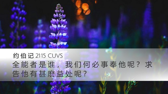 约 伯 记 21:15 CUVS Bible Verse Image