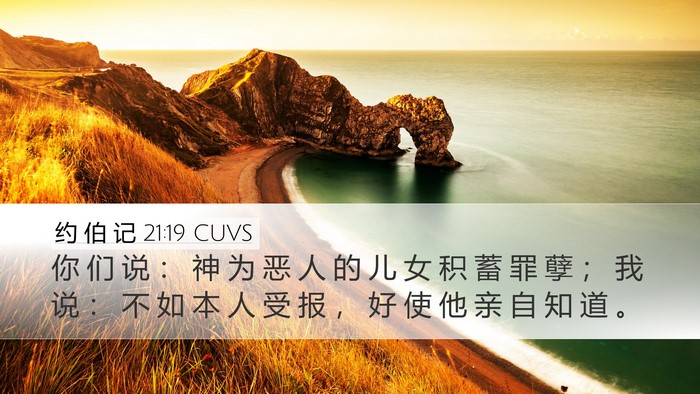 约 伯 记 21:19 CUVS Bible Verse Image