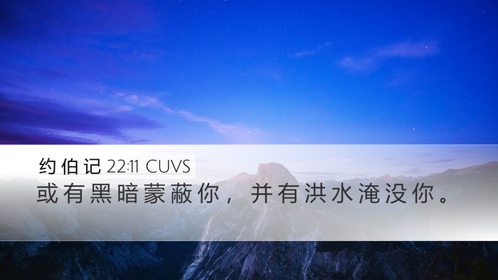 约 伯 记 22:11 CUVS Bible Verse Image