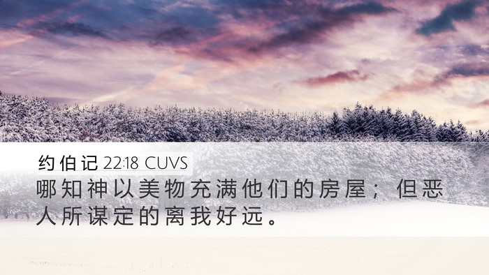 约 伯 记 22:18 CUVS Bible Verse Image