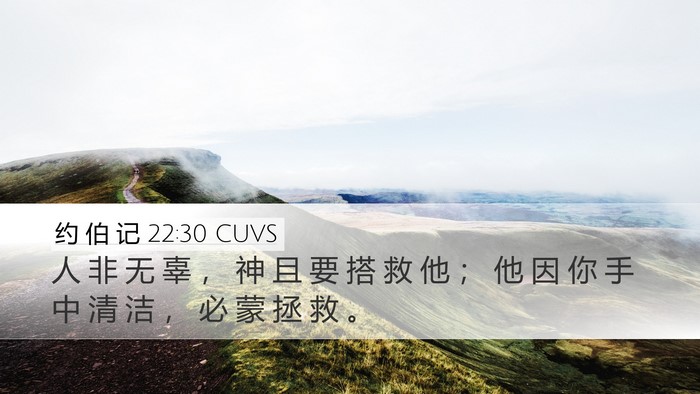 约 伯 记 22:30 CUVS Bible Verse Image