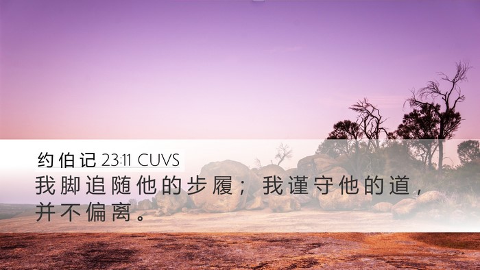 约 伯 记 23:11 CUVS Bible Verse Image
