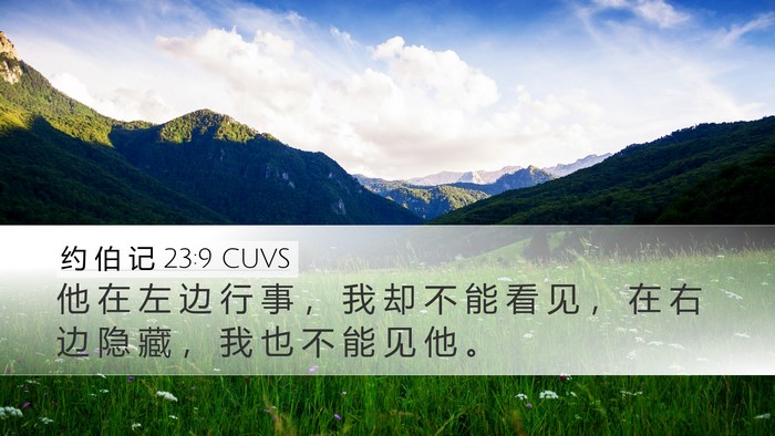 约 伯 记 23:9 CUVS Bible Verse Image