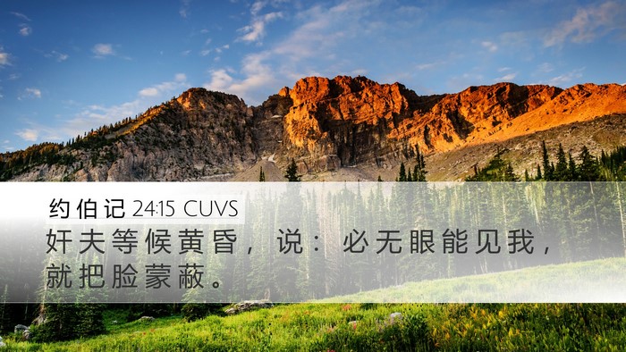 约 伯 记 24:15 CUVS Bible Verse Image