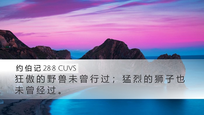 约 伯 记 28:8 CUVS Desktop Wallpaper - 狂 傲 的 野 兽 未 曾 行 过 ； 猛 烈 - Desktop Bible Verse Wallpaper