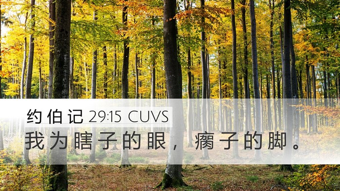 约 伯 记 29:15 CUVS Bible Verse Image