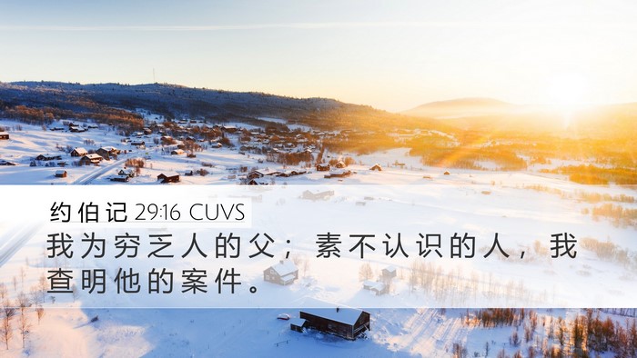 约 伯 记 29:16 CUVS Bible Verse Image