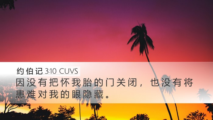 约 伯 记 3:10 CUVS Bible Verse Image