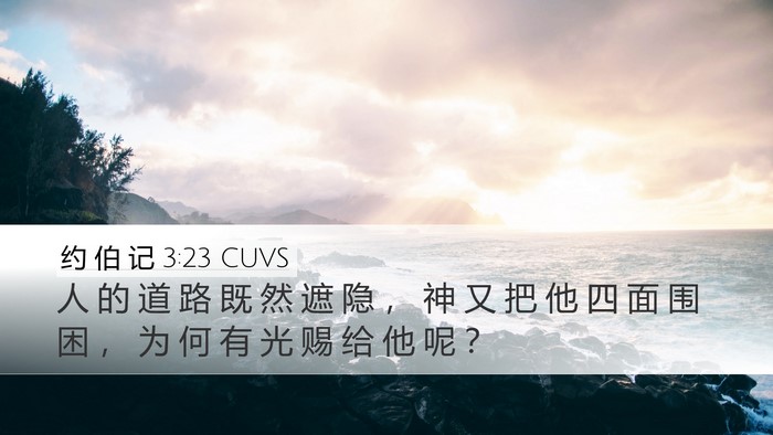 约 伯 记 3:23 CUVS Bible Verse Image