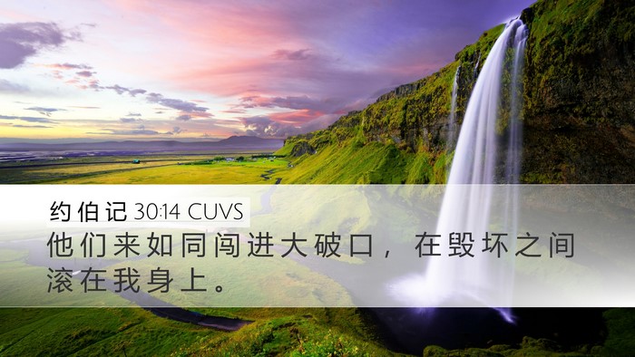 约 伯 记 30:14 CUVS Bible Verse Image