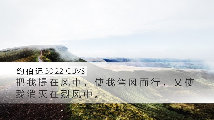 约 伯 记 30:22 CUVS Desktop Wallpaper - 把 我 提 在 风 中 ， 使 我 驾 风 而 - Desktop Bible Verse Wallpaper