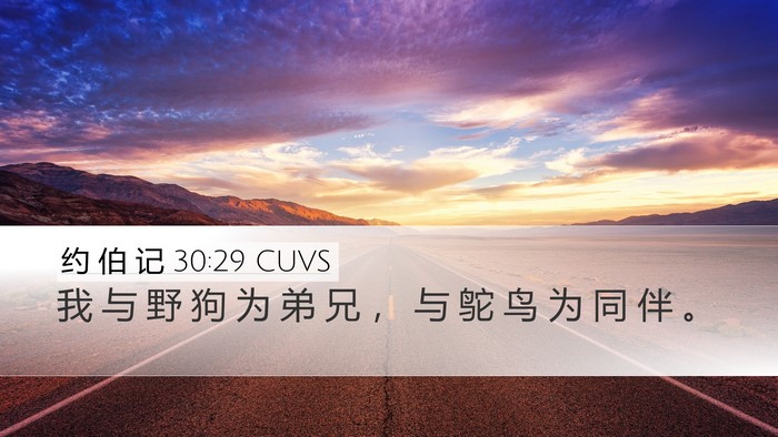 约 伯 记 30:29 CUVS Bible Verse Image