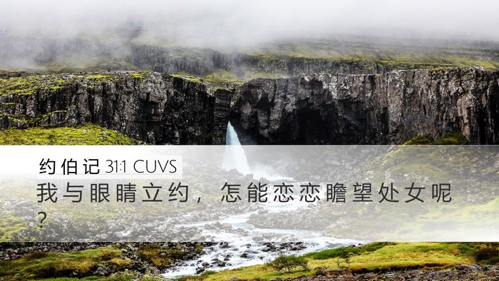 约 伯 记 31:1 CUVS Bible Verse Image