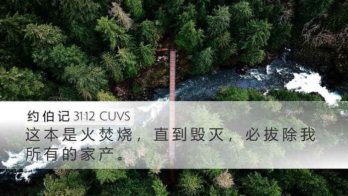 约 伯 记 31:12 CUVS Desktop Wallpaper - 这 本 是 火 焚 烧 ， 直 到 毁 灭 ， - Desktop Bible Verse Wallpaper